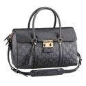 Louis Vuitton Fashion Show Collection Fall Winter 2010 Psyché M93486