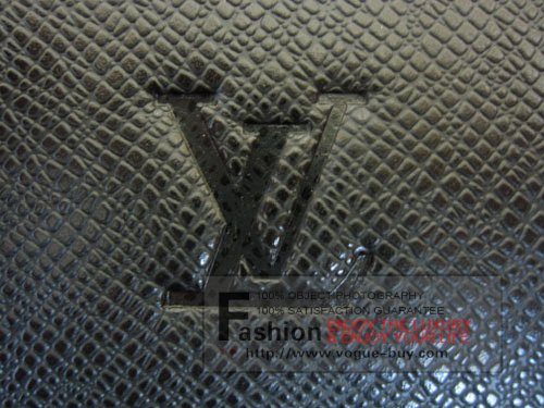 Louis Vuitton replica Taiga Leather Laguito M31062 (ardoise)